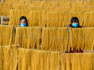 河北永清-300.jpg