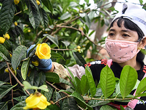 未标题-1 副本.jpg