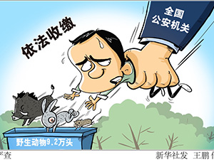 严查.jpg