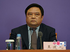 财政部税政司司长王建凡.jpg