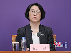 中国民用航空局发展计划司二级巡视员张清.jpg