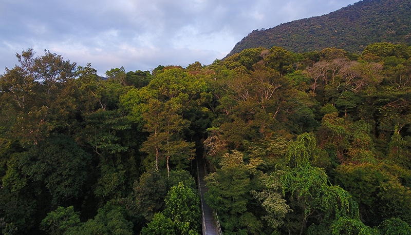 海南五指山自然保护区图片
