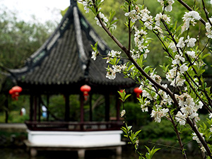 未标题-1.jpg