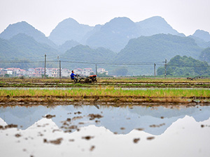 未标题-1 副本.jpg