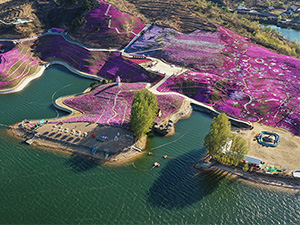 未标题-1.jpg