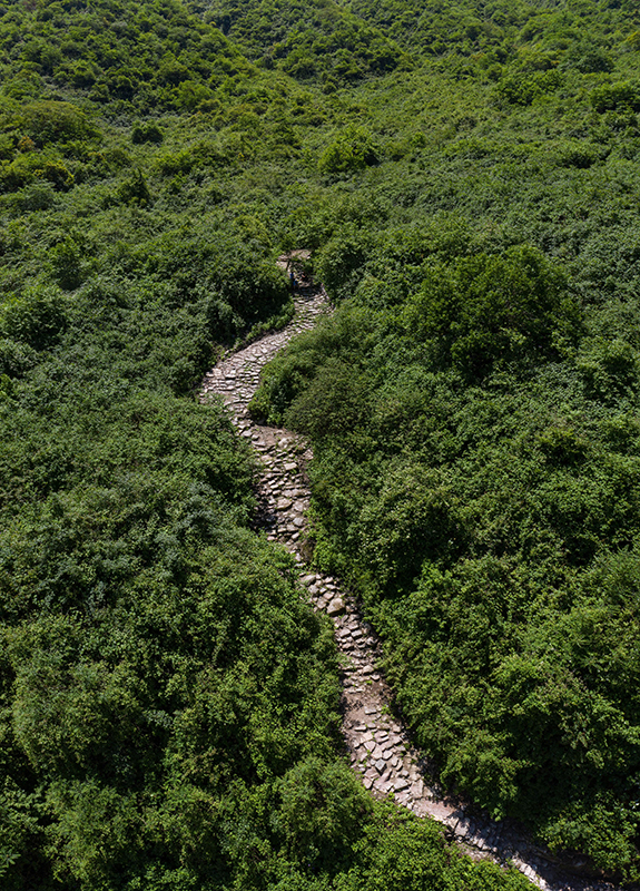 四川荥经:修复茶马古道