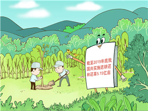 333_副本222.jpg