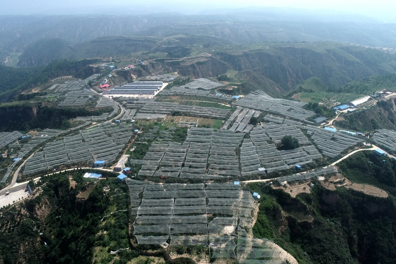 陕西梁家河:黄土高原小山村 脱贫迈上小康路