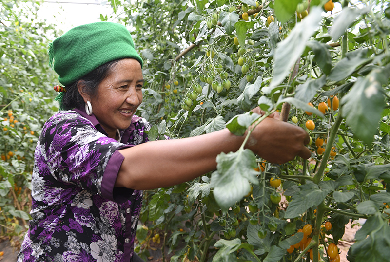 大凉山脱贫影像志——妇女撑起脱贫致富"半边天"