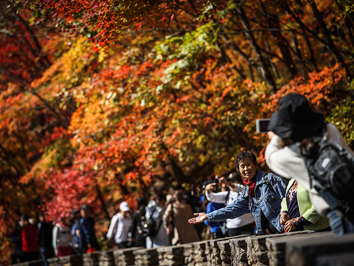 XxjpsgC007265_20201007_PEPFN0A001标题.jpg