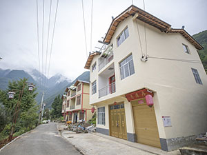 biao.jpg