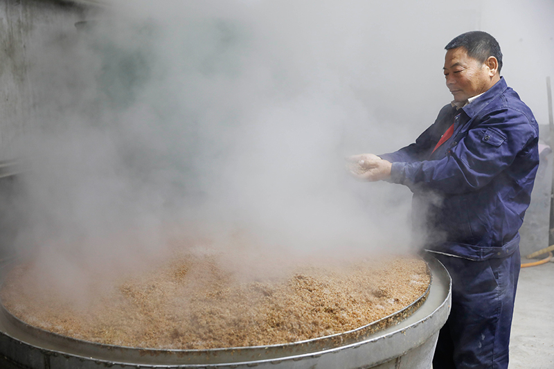 村里的酿酒艺人按照传统工艺酿酒,车间内一派繁忙景象.