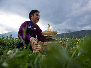 xiaobiao.jpg