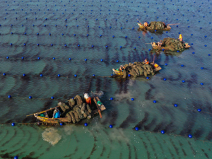 山东4.jpg-300.jpg