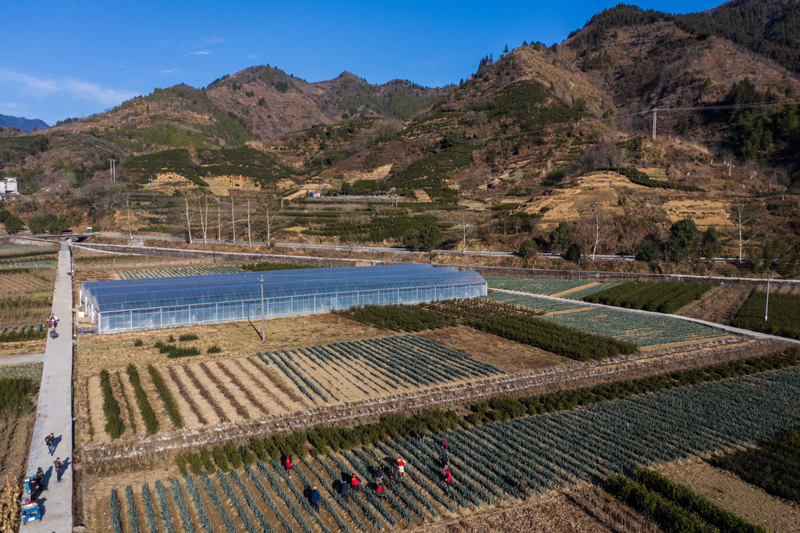 新闻 图片库 图片近期,浙江省杭州市淳安县梓桐镇迎来持续低温天气,日