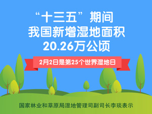 图表000.jpg