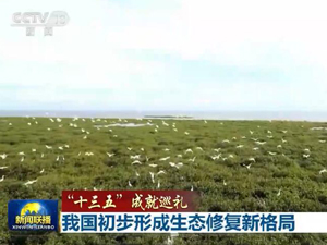 生态图片.jpg-300.jpg
