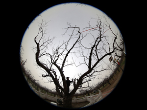 经济4.jpg-300.jpg
