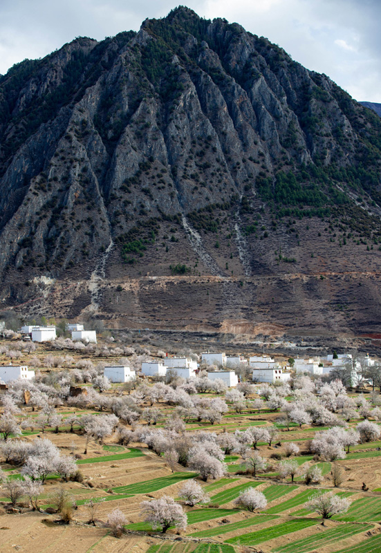 4月3日在得荣县白松镇日当村拍摄的景色.