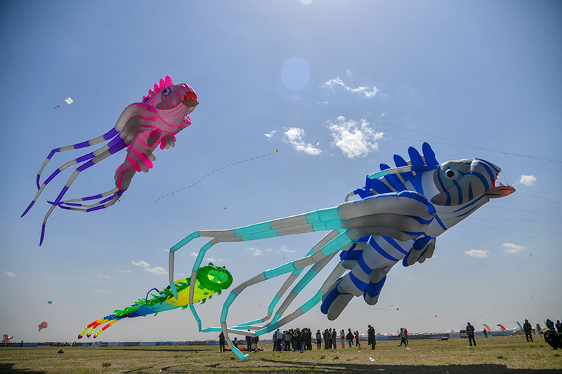 第38届潍坊国际风筝会放飞比赛举行