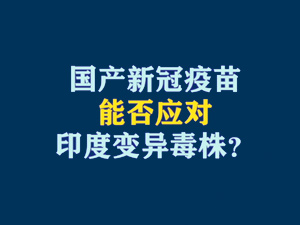 【短视频题图】国产新冠疫苗能否应对印度变异毒株？.jpg