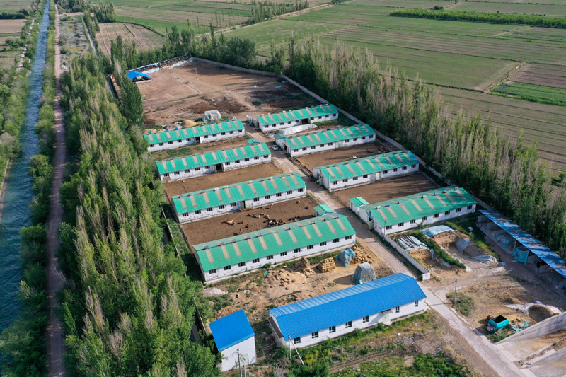 致富养殖泥鳅图片_致富经泥鳅养殖_养殖泥鳅挣钱吗