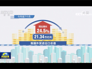 【稿件题图】前7个月我国外贸进出口同比增长24.5%.jpg
