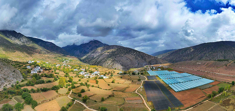 2020年在海拔3160米的甘孜州得荣县茨巫乡郎达村建立得荣县药材种植