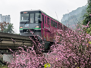 题图.jpg