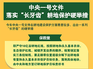 题图.jpg