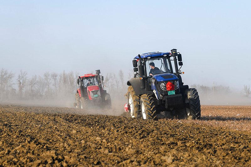 在新疆乌苏市石桥乡的一处棉田里,农民驾驶国产大马力拖拉机犁地(3月