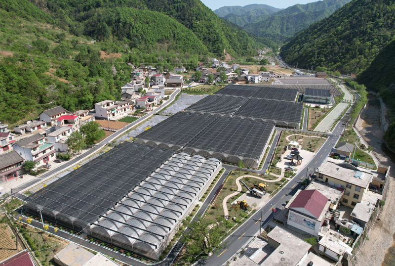 柞水县小岭镇金米村的木耳大棚(4月21日摄,无人机照片).