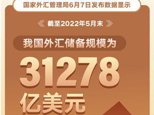 5月末我国外汇储备规模为3127.jpg
