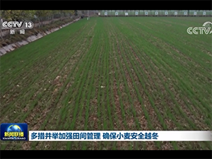 微信截图_202121114205854副本.png