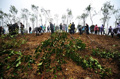 3月12日,“护绿使者”在京福高铁沿线开展植树活动。当日,由社会各届人士组成的“护绿使者”在安徽省合肥市包河区京福高铁沿线开展大规模植树活动,这标志着合肥市淝河生态公园一期建设正式启动。据悉,淝河生态公园一期占地350亩,沿京福高铁线带状分布,公园景观绿化以原有地势为基础,设有健身设施、休闲绿道等市民公益设施,建成后的淝河生态公园不仅将成为合肥市一条“绿飘带”,也将为高铁沿线增添一道美丽风景。新华社记者 杜宇 摄