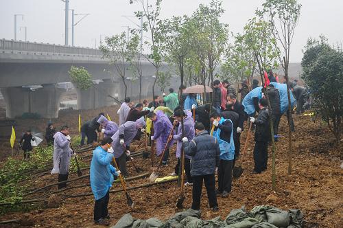 3月12日,“护绿使者”在京福高铁沿线开展植树活动。新华社记者 杜宇 摄