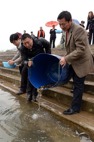 3月13日,四川南充市高坪区渔业工作人员和渔民将鱼苗放流嘉陵江。当日,四川省南充市高坪区渔政水产管理站在嘉陵江高坪区段举行2014年人工增殖放流活动,20万尾长吻鮠、白莲、鳙鱼、草鱼、黄颡鱼鱼苗被放流,用以丰富嘉陵江的鱼类资源。新华社发(李向雨 摄)