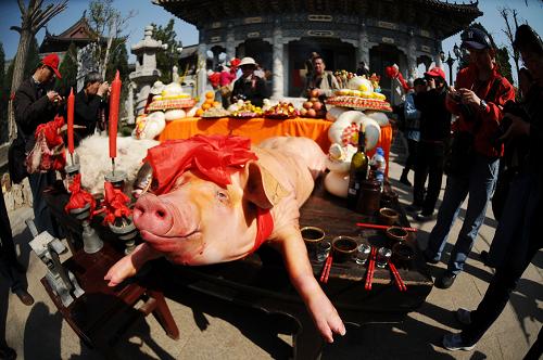 4月4日,祭祀所用的供桌上面摆上猪、鱼、羊和面塑。当日,第三届东夷渔祖郎君节在青岛市红岛韩家村拉开帷幕,村民们载歌载舞向游客展示渔家的历史文化。据考证,中国渔业最早发源于炎黄时代,东夷部落首领郎君氏在胶州湾北部教人们结网造船、出海捕鱼,被后人尊为“渔祖”。新华社发(王海滨 摄)