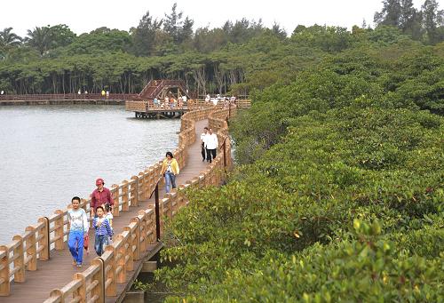4月13日,游人在海口市东寨港红树林景区栈道上参观游览。新华社发(蒙钟德 摄)