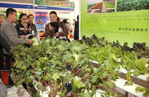 4月19日,参观者在展会上了解蔬菜水培技术。新华社发