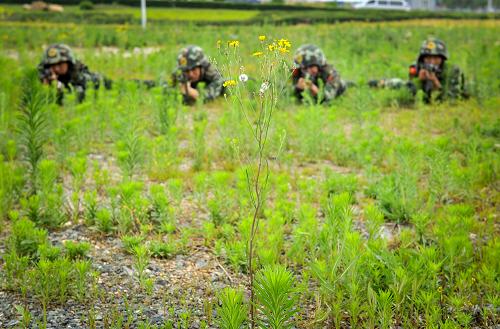 6月18日,长春边防检查站战士在进行实战射击动作要领训练。新华社记者 许畅 摄
