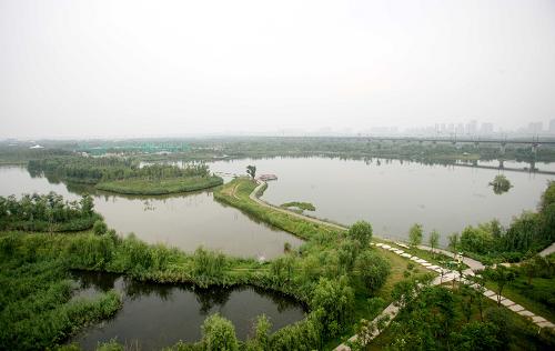 这是位于陕西省渭河与灞河交汇处的西安浐灞国家湿地公园(6月20日摄)。该湿地公园建成后,治理河道水面面积约100公顷,并新增水面面积67公顷。自2012年7月起,西安市启动“八水润西安”水利工程,开展河流整治工作,并相继建成了一大批水生态修复示范工程。截至2014年6月,全市对渭河、灞河等10条河流进行了综合治理,新增生态水面面积6680亩、湿地面积1.35万亩。新华社发(许睿 摄)