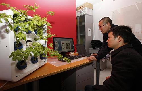 12月17日,沈靖(右上)在工作室里与工程师一起探讨蔬菜墙模块的设计。“蔬菜墙”是中国工业设计研究院创新技术总监沈靖加盟该院后首个个人创意产品。不同于人们对蔬菜墙甚至工业设计的传统认识,科技元素的加入,让沈靖的蔬菜墙成为兼具娱乐性和数字化的智能家居产品。“目前的产品还只是初级样机,我还在逐步完善蔬菜墙的设计和功能的实现,将来蔬菜墙会是一个集成互联网摄像头、手机APP远程控制以及模块化自由组合的产品,说不定会成为网络社交的一个全新媒介。”沈靖说。