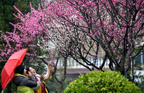 踏青赏花照片图片