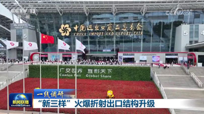 xinsanyangdiaoyantitu.jpg