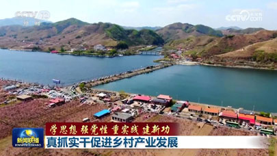 xiangcunzhenxingtitu.jpg