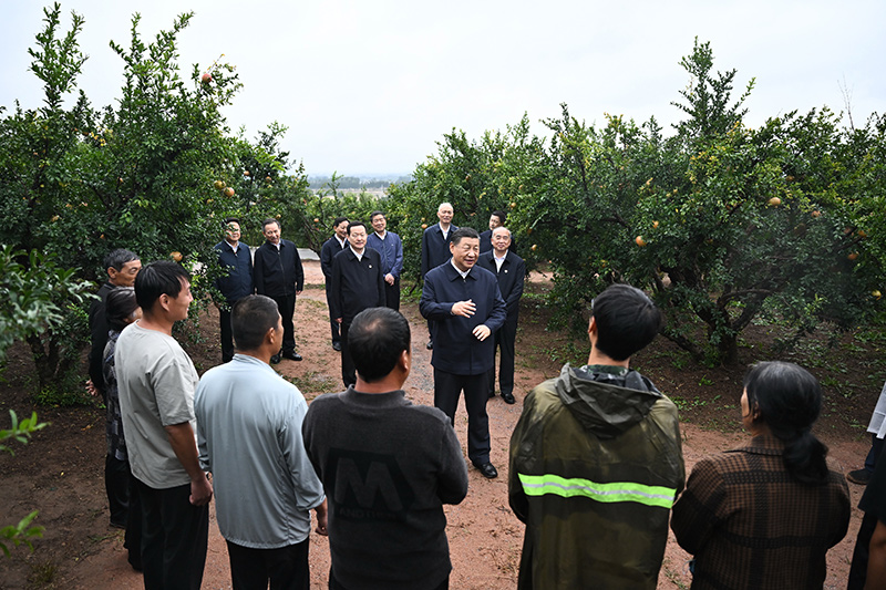 半岛棋牌·(中国)官方网站习在浙江考察时强调 始终干在实处走在前列勇立潮头 奋力(图11)