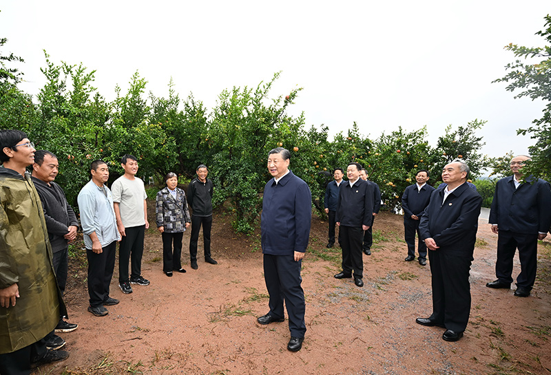 半岛棋牌·(中国)官方网站习在浙江考察时强调 始终干在实处走在前列勇立潮头 奋力(图12)