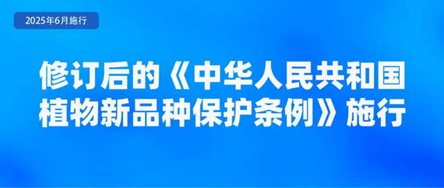 2024新澳门2024原料网1688