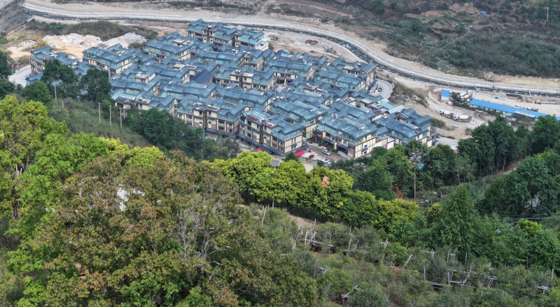 上春雷火竞技网址山 觅茶香：云南茶叶图鉴(图17)